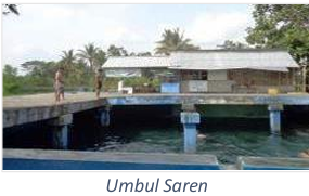 Umbul Saren